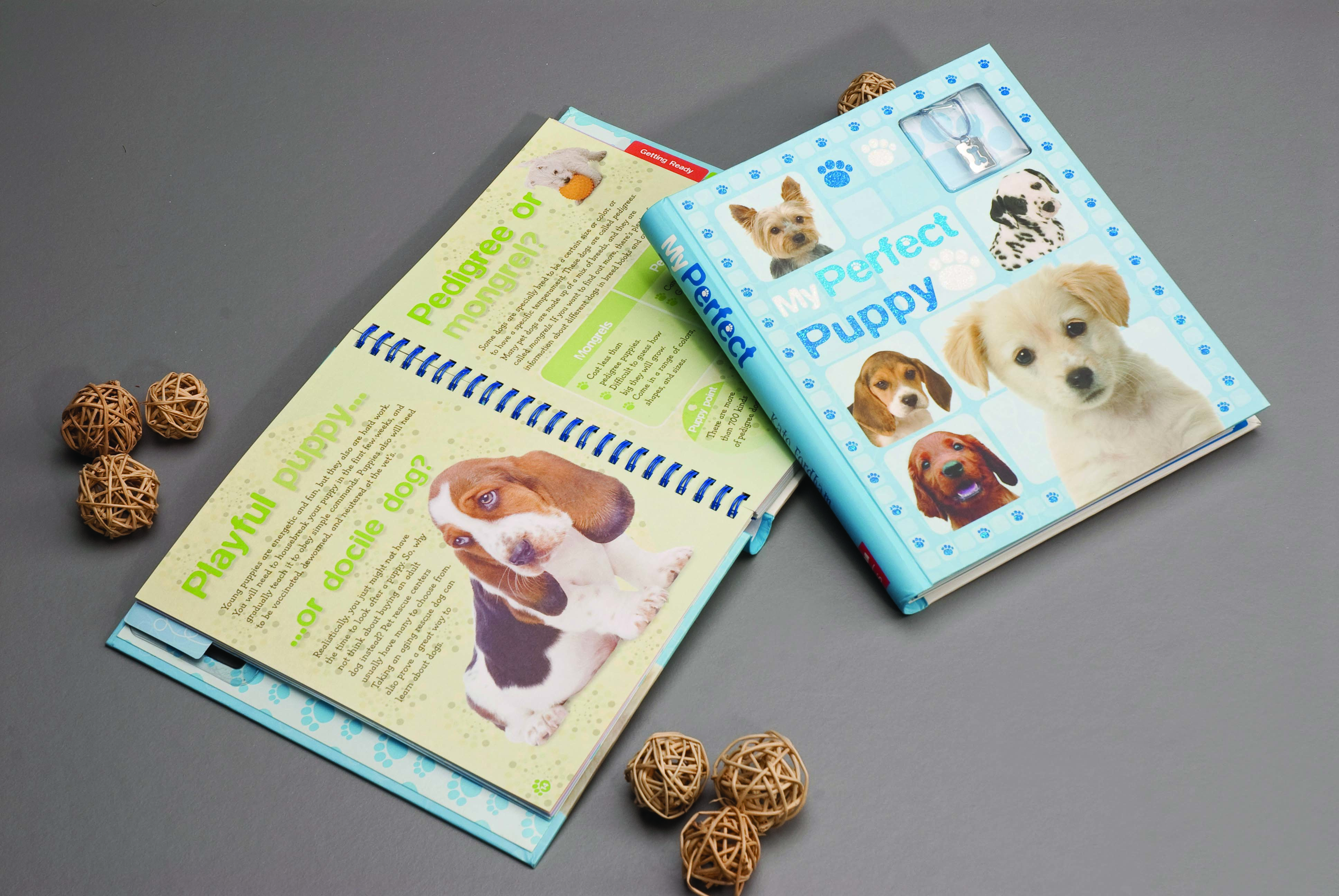 Book Product 2